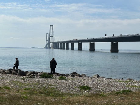 Great Belt Bridge, 4.2 miles; connects Zealand and Funen islands of Denmark